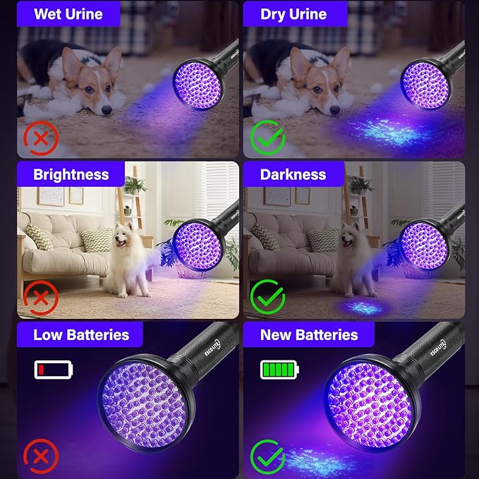 Escolite UV Flashlight Black Light, 100 LED 395 nM Ultraviolet Flashlights UV blacklight Detector for Dog Urine, Pet Stains and Bed Bug, Matching with Pet Odor Eliminator