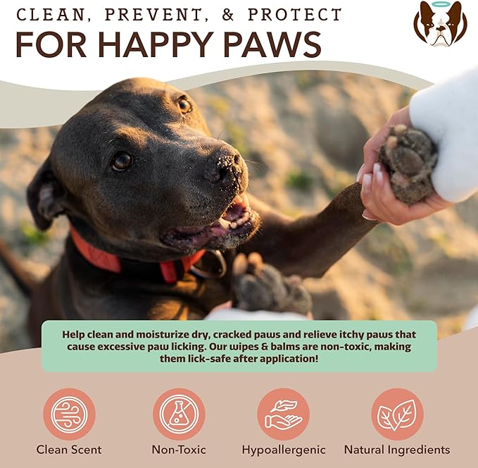 Natural Dog Paw Wipes -50 Ct- Organic, Vegan Pet Paw Wipes for Dogs, Eco-Friendly Dog Paw Wipes for Dogs, Ideal for Removing Dirt, Allergens & Moisturizes Dry Cracked Paws, Coconut Oil & Cocoa Butter