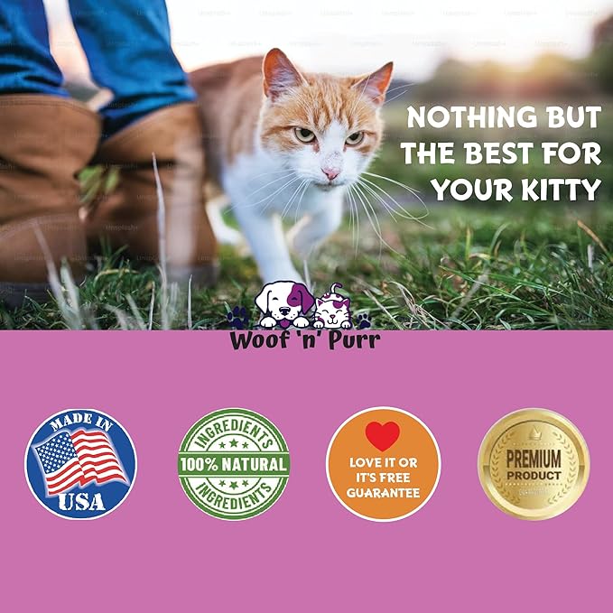 Immune Support for Cats - Helps to Support a Healthy Immune System - Cat Immune Booster - Cat Immune Support - Cat Immune Supplement - Immune Support Cats - Cat Immune Support Supplement - 1 fl oz