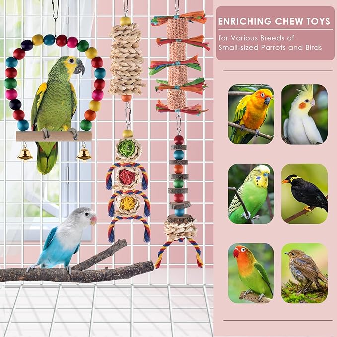 KATUMO Bird Toy Set, 6pcs Chew Toys & Perch for Small Birds, Conure, Cockatiel, Lovebird, Parakeet, Finch, Canary, Myna - Mental & Physical Workout, Relieves Boredom