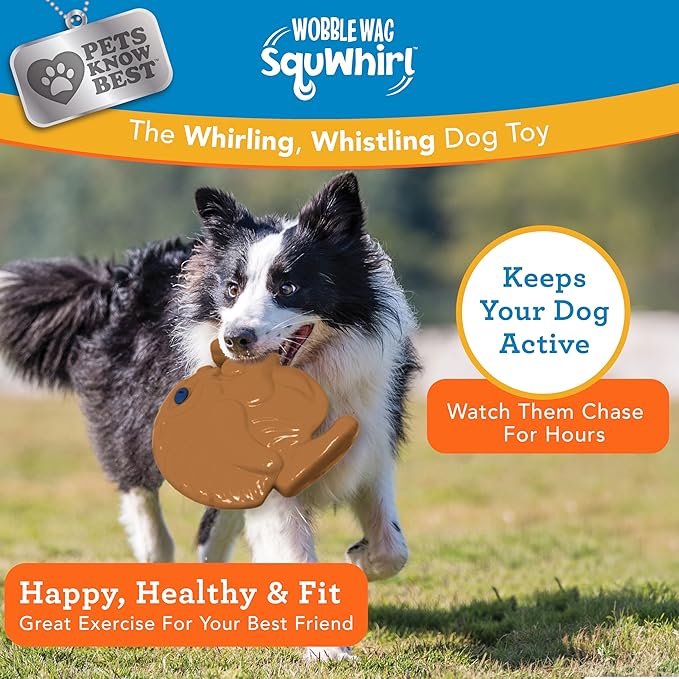 Pets Know Best SquWhirl- The Whirling Whistling Interactive Frisbee Dog Toy, Outdoor Frisbee for Fetch
