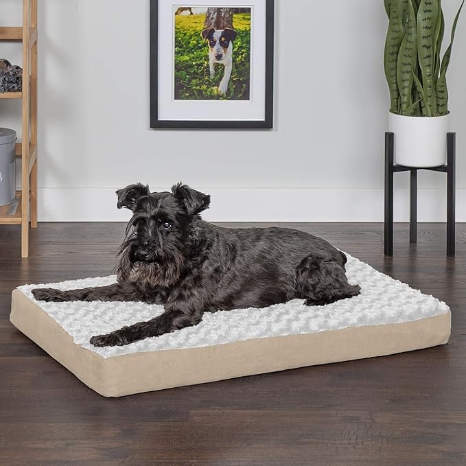 Furhaven Memory Foam Dog Bed for Medium/Small Dogs w/ Removable Washable Cover, For Dogs Up to 35 lbs - Ultra Plush Faux Fur & Suede Mattress - Cream, Medium