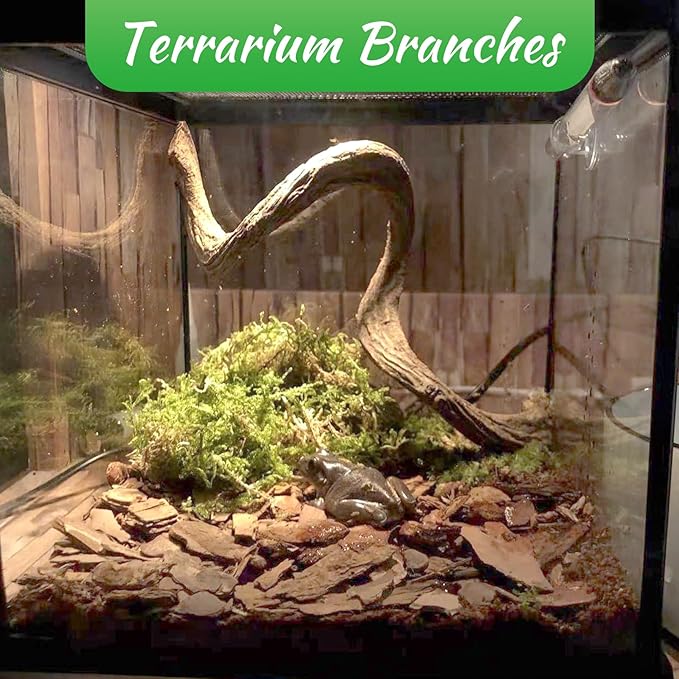 Reptile Climbing Branch Decor Wood Snake Terrarium Branches 6 Pack Lizard Habitat Decorations Natural Forest Tree Trunk Ornament for Bearded Dragon Geckos Chameleon Frog (14-16 inch)