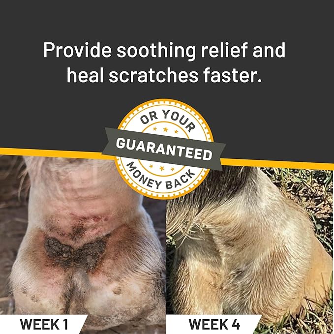 Rapid Relief 6oz Spray for Horses Only, Use on Equine Scratches / Pastern Dermatitis / Mud Fever / Dew Poisoning / Cracked Heels