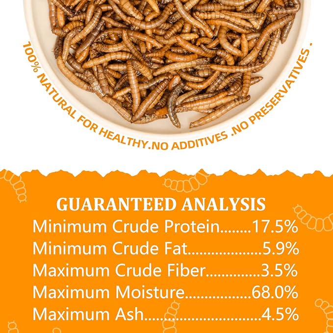 6 Pack Canned Mealworms for Reptiles, Fish, Birds and Small Animals, Meal Worms, Healthy High Protein Treat, Reptile Bird Fish Food 1.2 Ounces Each