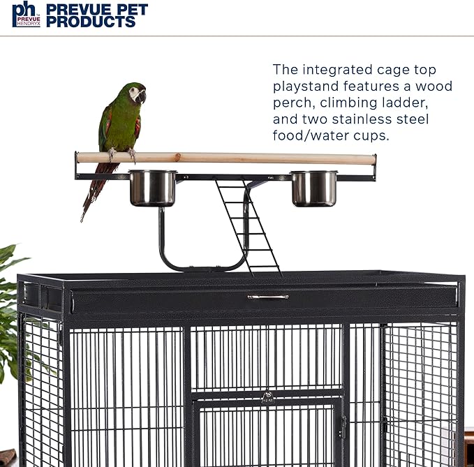 Prevue Pet Products Wrought Iron Select Bird Cage 3154BLK, Black Hammertone, 36-Inch by 24-Inch by 66-Inch