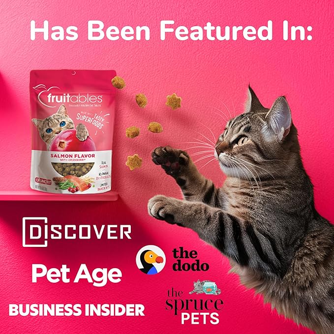 Fruitables Cat Treats – Crunchy Treats For Cats – Healthy Low Calorie Treats Packed with Protein – Free of Wheat, Corn and Soy – Made with Real Salmon with Cranberry – 2.5 Ounces