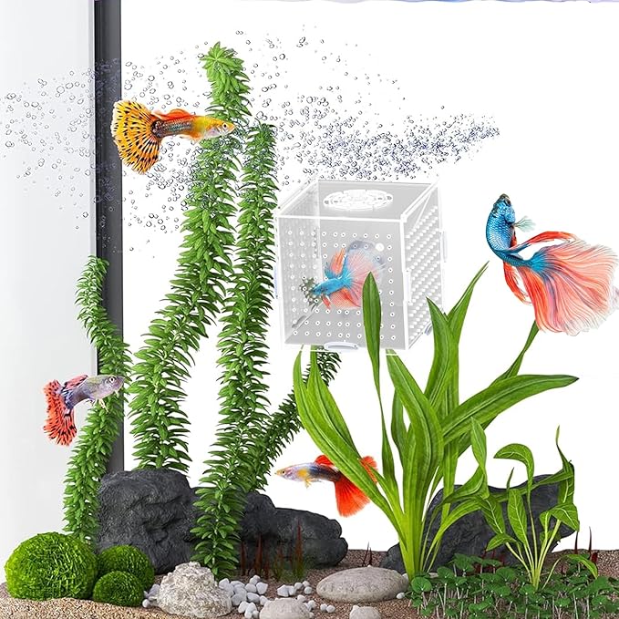 Acrylic Fish Breeding Box, Transparent Fish Isolation Box, Fish Separator for Aquarium, Hatchery Incubator with Suction Cups for Guppy Shrimp Clownfish African Cichlids (3.9 * 3.9 * 3.9inch)