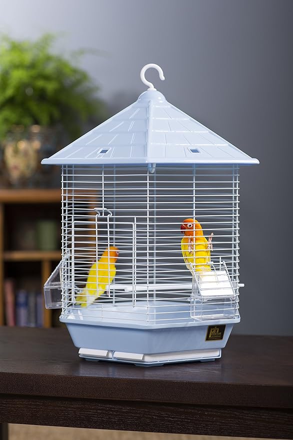 Prevue Pet Products SP31998LIGHTBLUE Copacabana Bird Cage, Light Blue