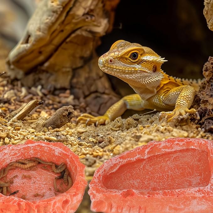 Reptile Water Dish Food Bowl for Bearded Dragon Tank Accessories, Hyggerzoo Reptile Rock Feeder for Reptile Tank 2 Pack Corner Resin Terrarium Bowl for Leopard Gecko Hermit Crab Tortoise Snake, Orange