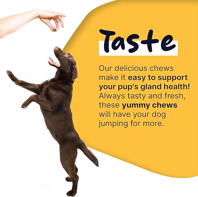 Glands Bowel Support - 120 Delicious Scoot Soft Chews for Scooting, Healthy Anal Glands, and Digestive Health - Made with Pumpkin Powder for Dogs