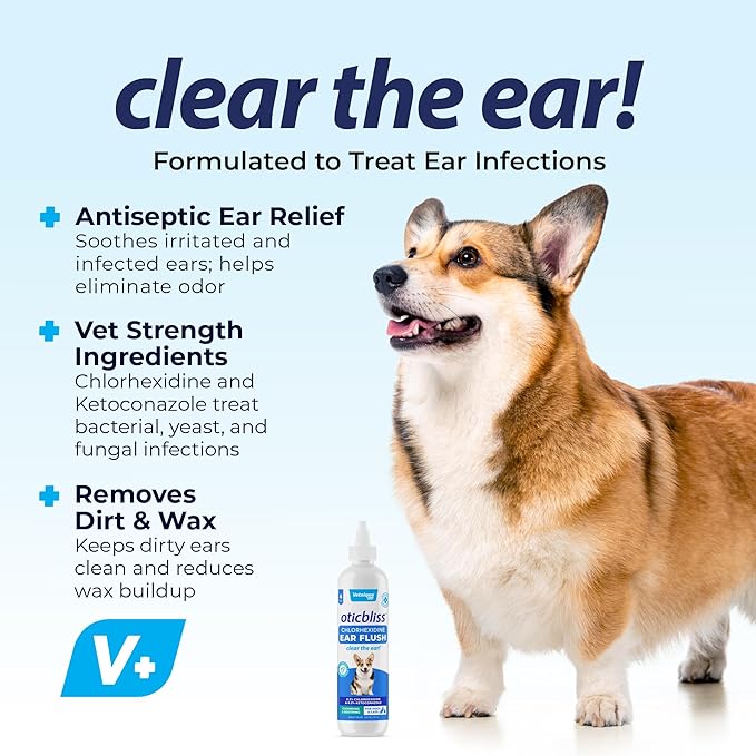 Vetnique Oticbliss Medicated Dog Ear Infection Treatment, Antiseptic Ear Cleaner for Cat & Dog Ear Cleaning Solution with Chlorhexidine & Ketoconazole (6oz Flush)