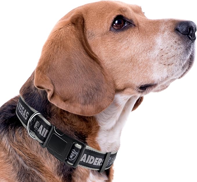 Pets First NFL Las Vegas Raiders Licensed PET COLLAR, Large - Heavy-Duty, Strong, and Durable Dog Collat. Available in 32 Football Teams