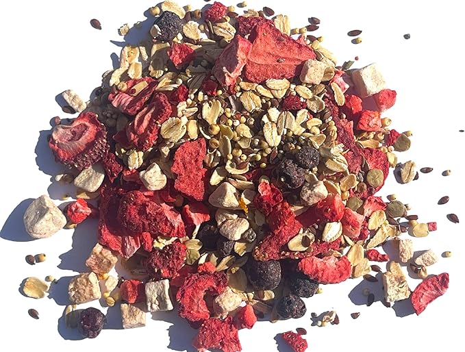 Fruity Breakfast Blend Hermit Crab Dry Food - High Protein & Nutrient Blend Diet of Rolled Oats, Blueberries, Strawberry, Banana, Sprouted Seeds Mix - Aquatic Pet Snack Treat | 65g