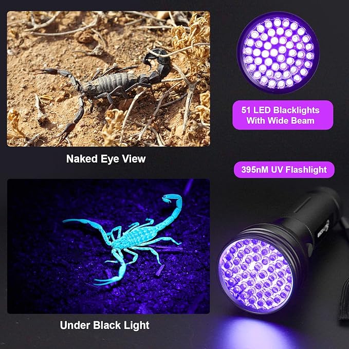 Escolite Blacklight UV Flashlight, 51 LED Black Light Pet Urine Detector for Dog Cat Urine, Blue Light for Scorpions Pack of 10