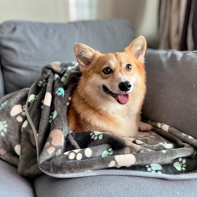 1 Pack 3 Puppy Blankets Super Soft Warm Sleep Mat Grey PAW Print Blanket Fleece Pet Blanket Dog Blankets for Small Dogs Puppy Dogs Fluffy Cats,Medium(29"x20")