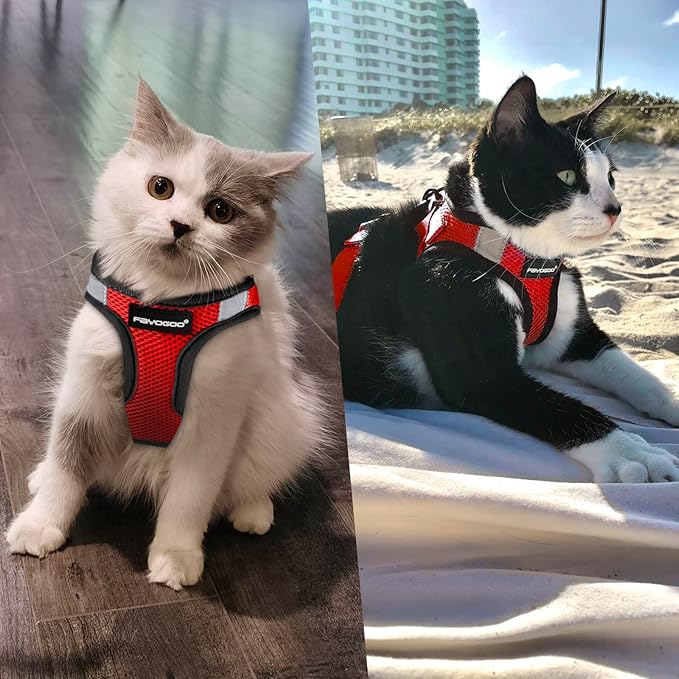 Cat Harness and Leash Set for Walking Escape Proof, Kitten Harness and Leash Adjustable, Small Large Cat Walking Harness and Leash, Lightweight Soft Vest Harness and Leash(Large, Red)