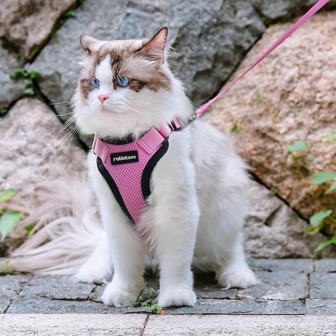 rabbitgoo Cat Harness and Leash for Walking, Escape Proof Soft Adjustable Vest Harnesses for Cats, Easy Control Breathable Reflective Strips Jacket, Pink, M