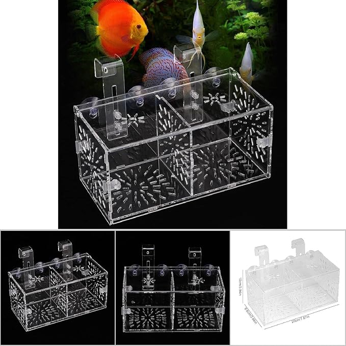 Fish Breeding Box, Acrylic Transparent Fish Breeding Isolation Box Aquarium Hatchery Incubator Holder Fish Separation Breeder Box, with Hook and Sucker Design (20CM*10CM*10CM)