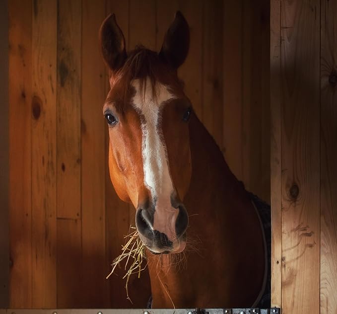 GastroMend® Gastrointestinal Health Supplement for Horses, 100% Natural, Promotes Stomach and Gut Health in Equines, Cost-Effective Digestive Wellness, 60 Servings per Pouch, Made in The USA