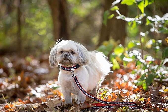 Pets First NHL Columbus Blue Jackets Leash for Dogs & Cats, Medium. - Walk Cute & Stylish! The Ultimate Hockey Fan Leash!, Medium (4 ft Long x 0.62 in Width) (CBJ-3031-MD)