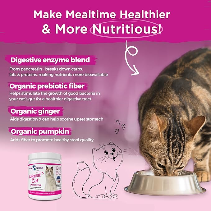 Vital Planet - Digest Cat Digestive Pancreatic Enzyme Blend with Pumpkin and Ginger to Support the Pancreas and Healthy Digestion with Pancreatin, Salmon Flavored Powder for Cats - 111 Grams 30 Scoops