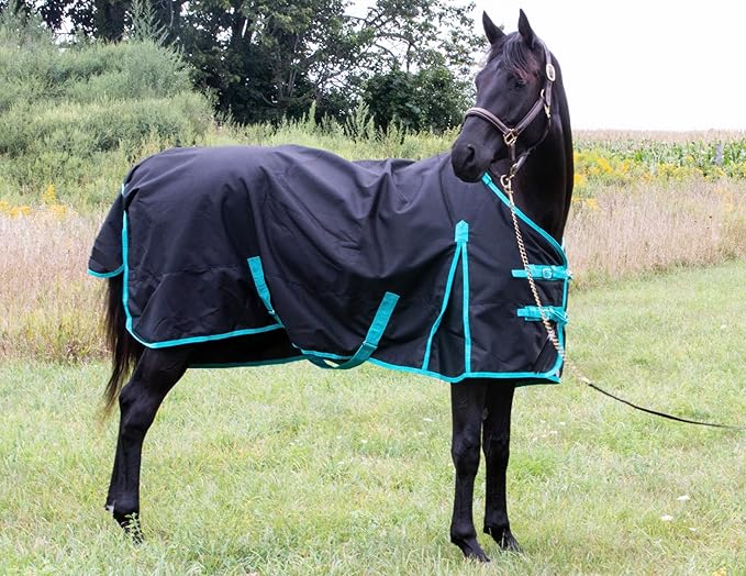 1200 Denier Horse Rain Sheet (Waterproof/Breathable & Wind Proof Turnout Sheet) Horse Breathable Rainsheet (Black-Turquoise, 70)