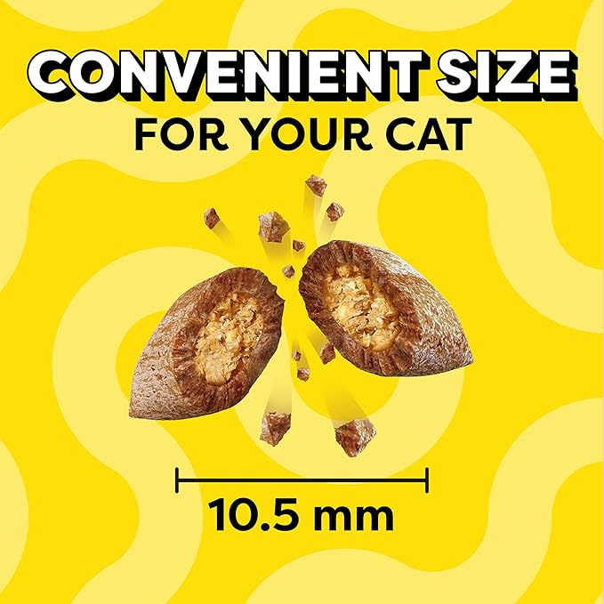 TEMPTATIONS Classic Crunchy and Soft Cat Treats Savory Salmon Flavor, 6.3 oz. Pouch (Pack of 10)