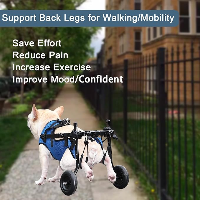 𝑼𝑷𝑮𝑹𝑨𝑫𝑬𝑫 Adjustable Dog Wheelchair, Lightweight Dog Scooter for Back Legs, Max 22 Pound Dogs, Wheelchair for paralyzed Injured Lame Disabled Handicapped Dogs -M