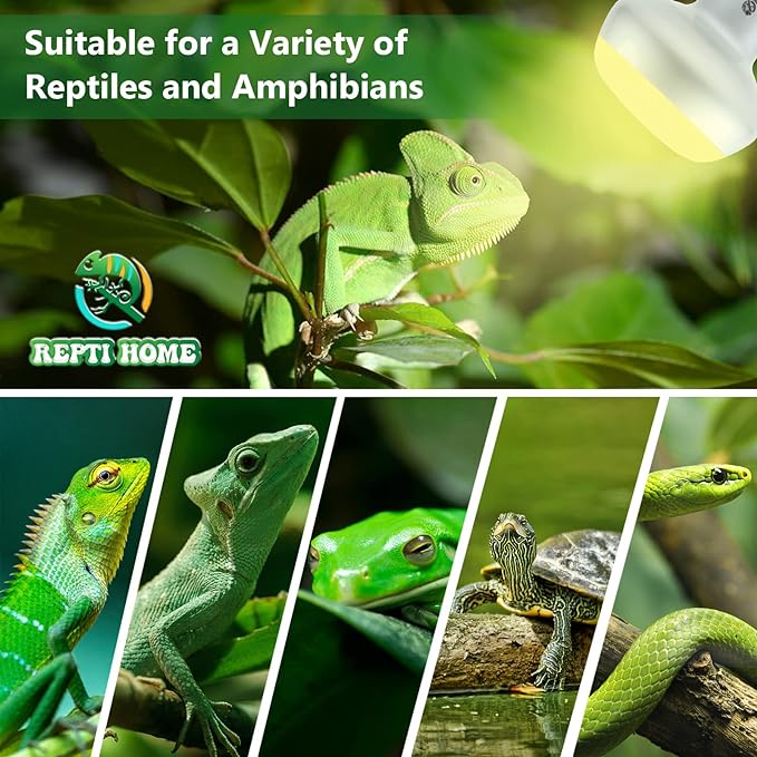 Reptile Heat Lamp Bulb,100W 3 Pack Basking Spot Lamp Bulb for Reptiles & Amphibians,Reptile Daylight Heat Emitter Light for Bearded Dragon, Lizard, Turtle