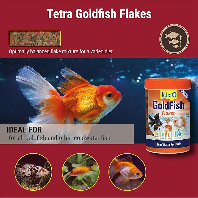 Tetra Goldfish Flakes, Nutritionally Balanced Diet For Aquarium Fish, Vitamin C Enriched Flakes, 7.06 oz