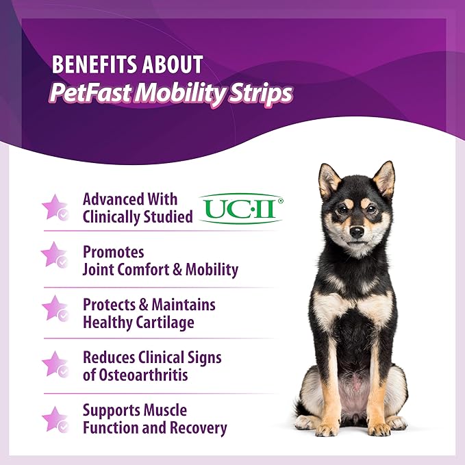 Mobility Strips for Hip & Joint - Fast-Acting Oral Supplement with UC-II® for Dogs and Cats - Joint Health Support with Boswellia, Choline, Vitamin E & D3 - Fast Dissolving Strips