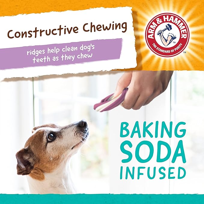 Arm & Hammer for Pets Ringers Dental Treats for Dogs | Dog Dental Chews Fight Bad Breath & Tartar Without Brushing | Fruity Blueberry Flavor in Dog Treat Bag (Pack of 24,120 Count Total)