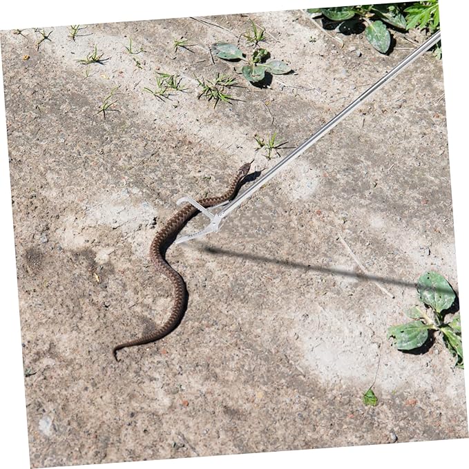 Snake Garbage Collector Rattle Snake Catcher Snake Feeding Tongs Reptile Reptile Terrariums Crab Tools Snake Grabber Tool Feed The Snake To Feed Stainless Steel Elder