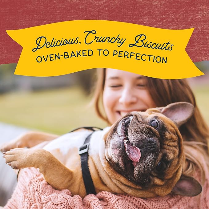 Natural Balance Limited Ingredient Rewards Crunchy Biscuits, Grain-Free Dog Treats for Adult Dogs of All Breeds, Sweet Potato & Bison Recipe, 14 Ounce (Pack of 1)