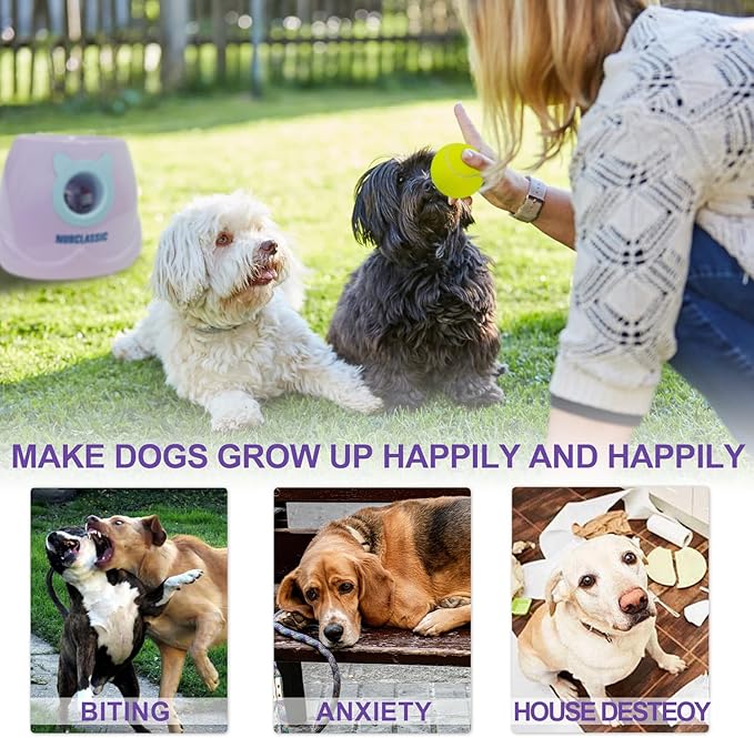 BESTHLS Automatic Ball Launcher for Dogs Interactive Tennis Ball Thrower Machine for Small Medium Dogs Fetching Distance 10-30ft, 6pc Balls Included (Purple, with Remote)