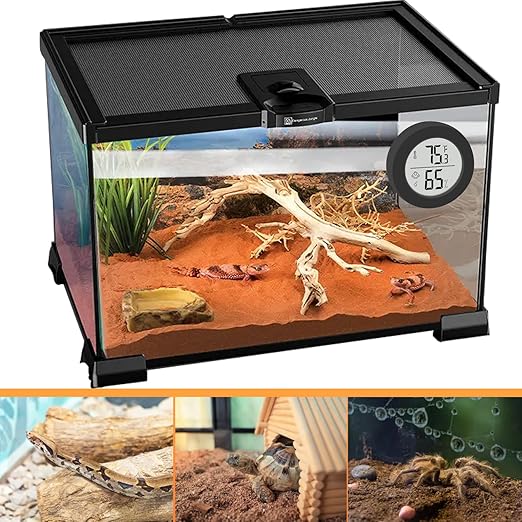 Reptile Tank Accessories, 2 Pack Bearded Dragon Tank Thermometer Humidity Gauge for Leopard Gecko, Jumping Spider, Snake, Gecko, Ball Python, Lizard