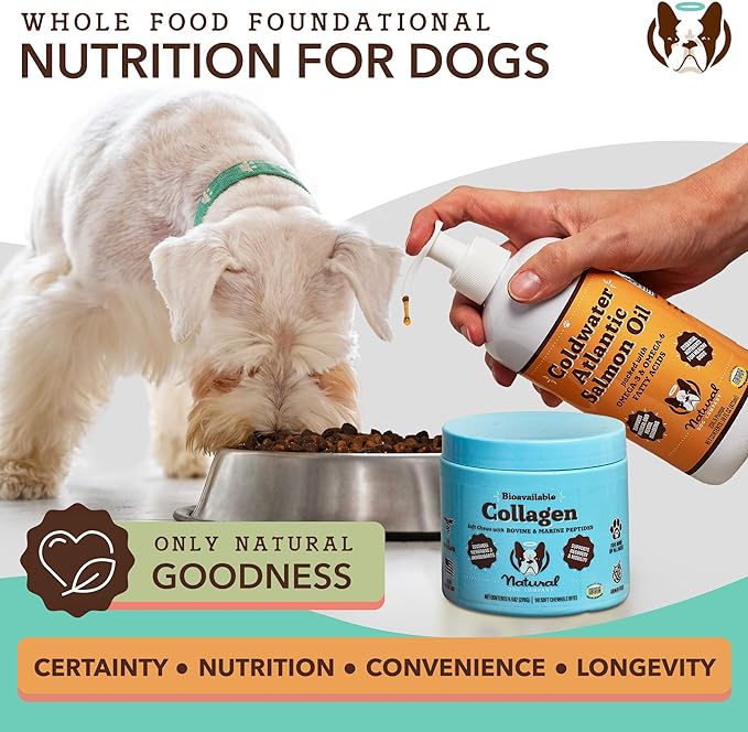 Natural Dog Company Collagen Chews for Dogs - Enhanced with Eggshell Membrane - Unique 4-Type Collagen Blend for Mobility, Hip, Joint, Skin & Coat Support - with Vitamin C and Hyaluronic Acid -90 Ct