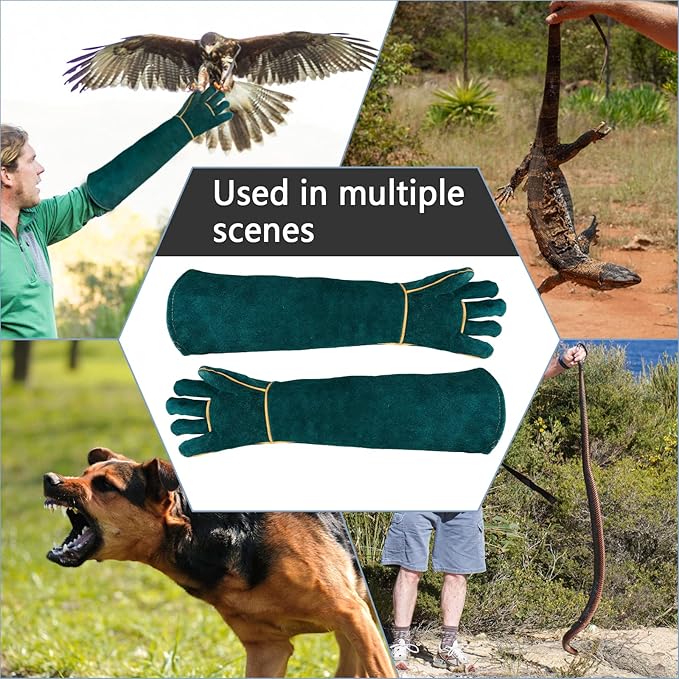 Animal Handling Gloves Bite Proof with 40inch Collapsible Snake Hook,Suitable for Falcon Dog Cat Bird Reptile Snake