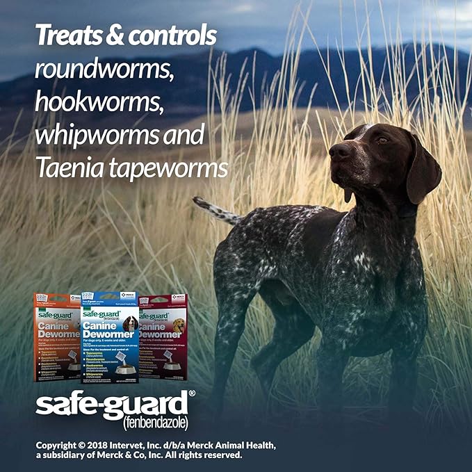 SAFE-GUARD (fenbendazole) Canine Dewormer for Dogs, 2gm pouch (ea. pouch treats 20lbs.), Blue, 0.07 Ounce (Pack of 3) (033576/001-033576)