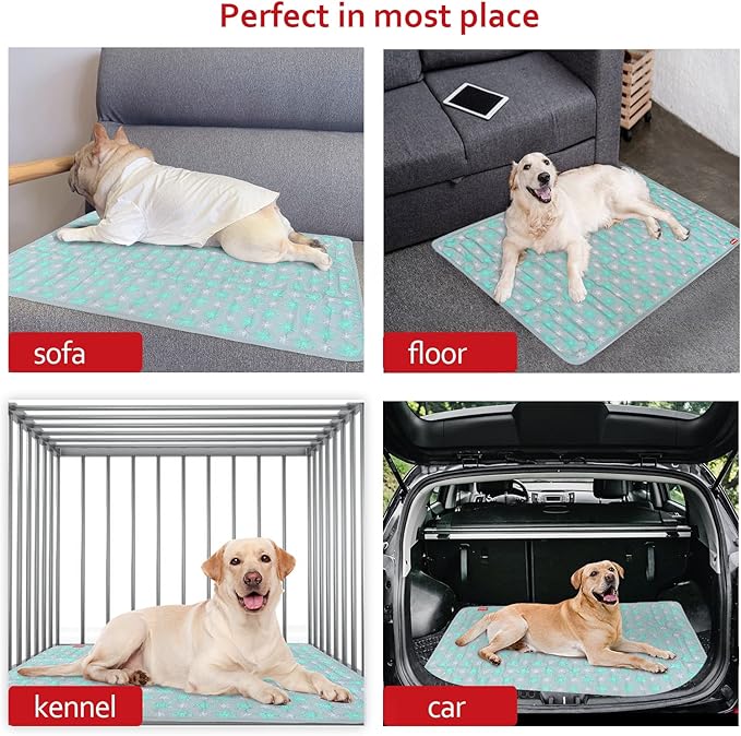 Dog Crate Mat (36" X 23"), Soft Dog Bed Mat with Cute Prints, Personalized Dog Crate Pad, Anti-Slip Bottom, Machine Washable Kennel Pad, Green