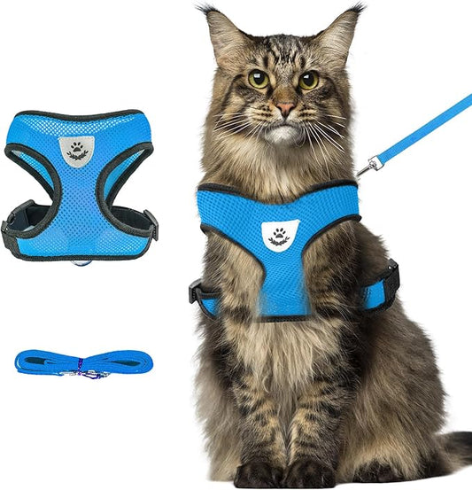 Summer cat Chest Harness and Leash, Anti-Escape Adjustable Soft mesh cat Leash and Chest Harness Set for All Types of Cats cat Vests(Size XL, Sky Blue)