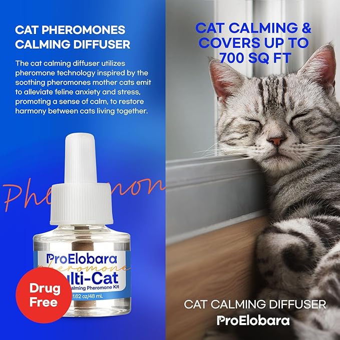 Cat Calming Pheromone Diffuser: Cat Calming Pheromones Diffusers for Multicat - Reduces Stress and Anxiety with Calming Pheromones - Helps Control Bad Behavior with Calm Pheromone 1 Pack/60 Day Supply