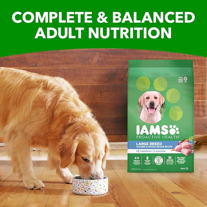 IAMS Adult High Protein Large Breed Dry Dog Food with Real Chicken, 30 lb. Bag