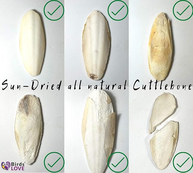 Birds LOVE Natural Cuttlebone – Premium Calcium & Trace Mineral Supplement for Avian Species, Tortoises & Snails – Pure Cuttlebone for Parakeets, Cockatiels, All Birds - 2 Packs of 4, Size 3.5 to 4"