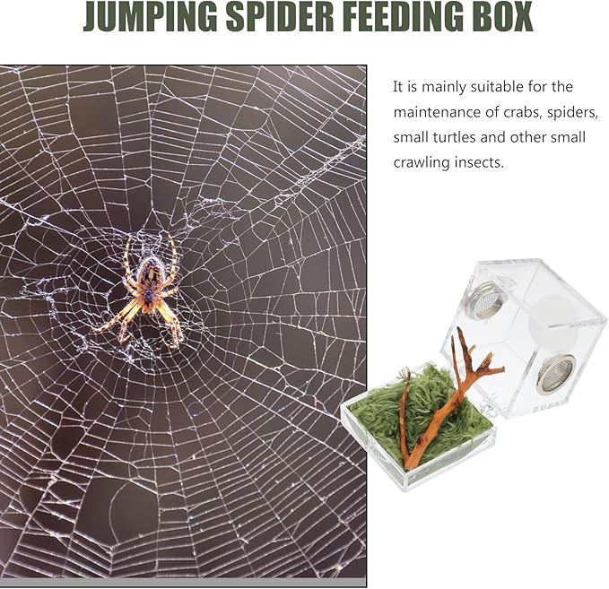 Mipcase 2pcs Jumping Spider Enclosure, Acrylic Spider Terrarium Transparent Jumping Spider Habitat for Jumping Spider Accessories