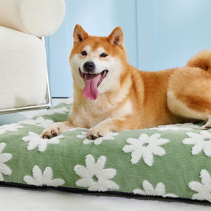 Lesure Dog Beds Large Sized Dog-Thick Shredded Chopped Foam Pet Bed, Dog Bed Indoor with Removable Cover, Cute Modern Fuzzy Plush & Anti Slip Bottom(35'x22', Green)