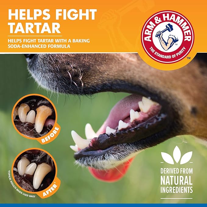 Arm & Hammer for Pets Tartar Control Dental Spray for Dogs | Dog Dental Spray Reduces Plaque & Tartar Buildup Without Brushing | Mint Flavor, 4 Ounces (Pack of 24)