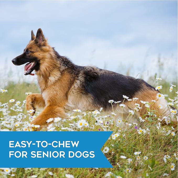 Dogswell Hip & Joint Chicken Soft & Chewy - 14 oz.