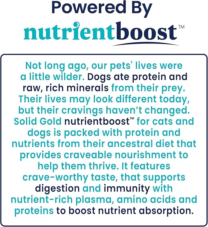 Solid Gold Canned Dog Food for Adult & Senior Dogs - Nutrientboost Hund-N-Flocken Made with Real Lamb and Healthy Whole Grains - High Calorie, High Protein Wet Dog Food - 6ct/12.5oz Cans